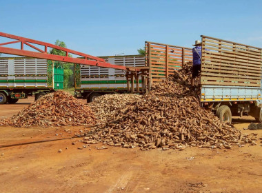 สหกรณ์จังหวัดบุรีรัมย์ พร้อมด้วยกลุ่มส่งเสริมสหกรณ์ 3 ... พารามิเตอร์รูปภาพ 12